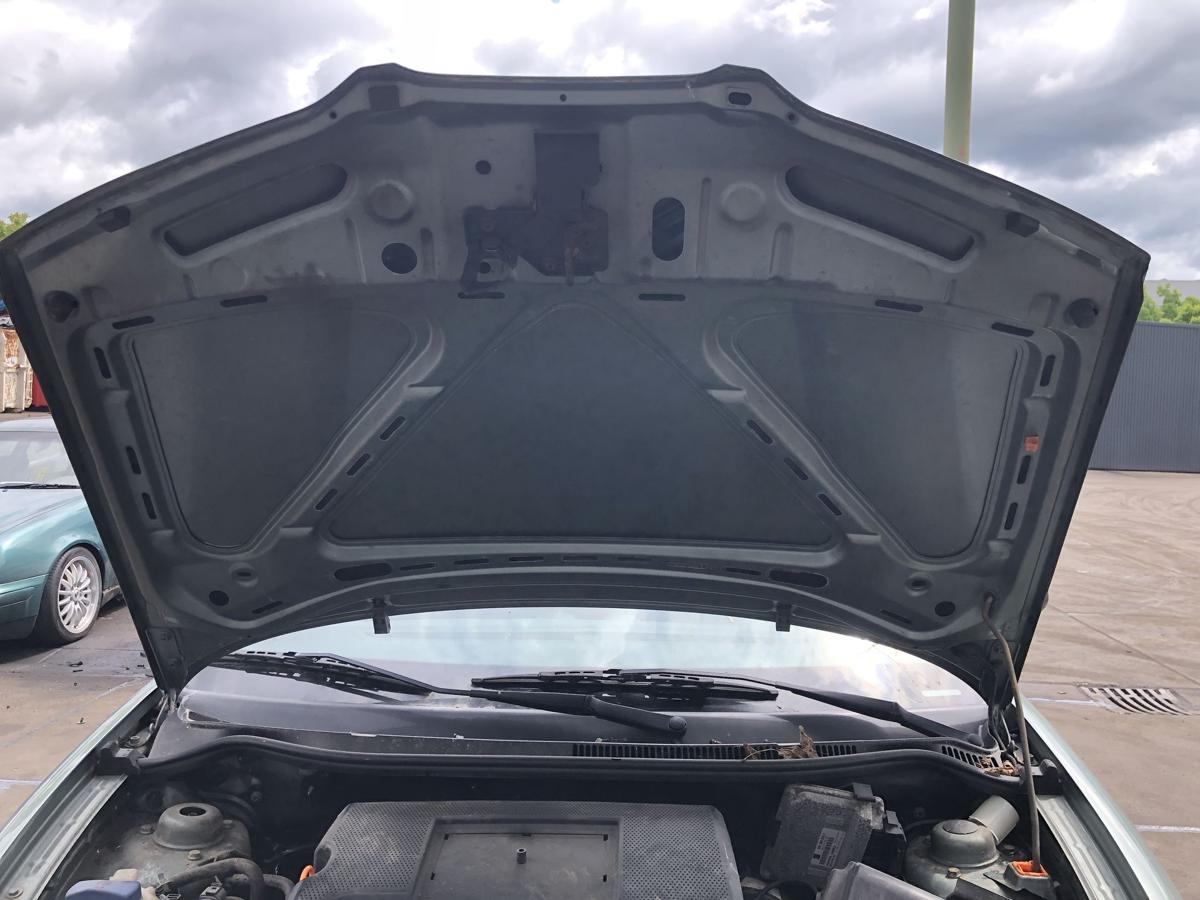 Seat Ibiza 6L original Motorhaube Klappe/Deckel vorn/Front S6M Sierragrün Bj 03