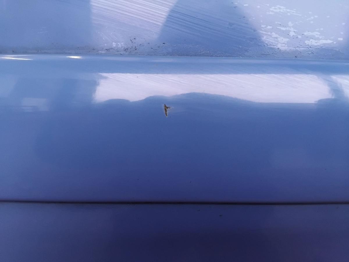 VW Polo 9N3 T&uuml;r vorn rechts Beifahrert&uuml;r 5-t&uuml;rig summerblue LA5F BJ2009