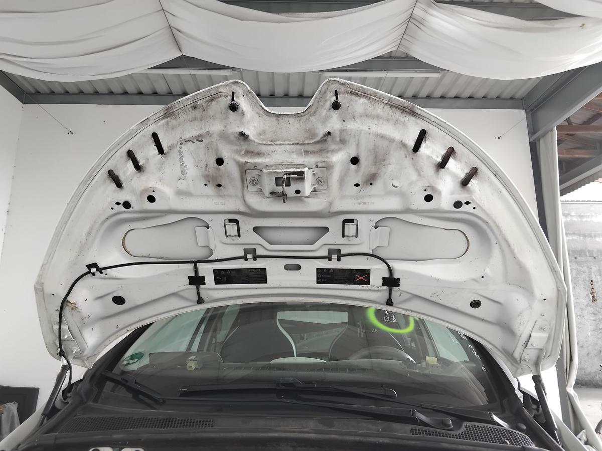 Renault Zoe original Motorhaube Deckel vorn weiss DV369 Blanc Glacier BJ2016