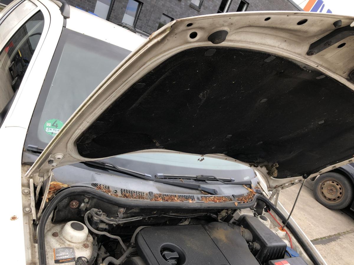 Skoda Fabia 6Y Praktik Motorhaube Haube Klappe Deckel vorn Grill LF9E Candywei&szlig;