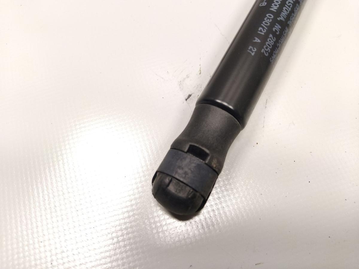 Tesla Model 3 original Satz Gasdruckzylinder Motorhaube 1091472-00-B Bj.2021