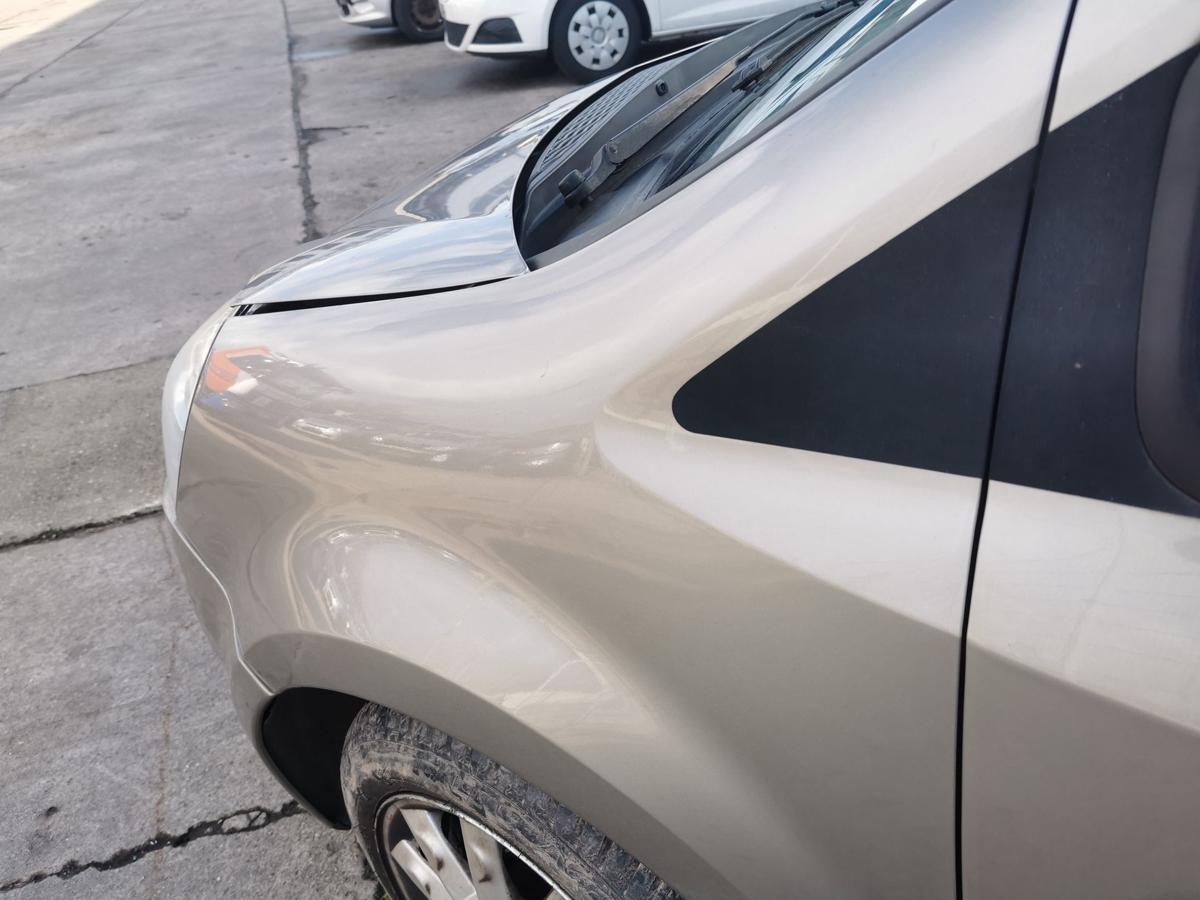 Renault Modus Kotfl&uuml;gel Fender Seitenwand vorn links TEHNK Atacama Beige met