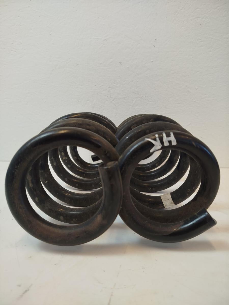 NIO EL6 Elektro SUV Satz Federn Hinterachse links rechts Hinterachsfeder