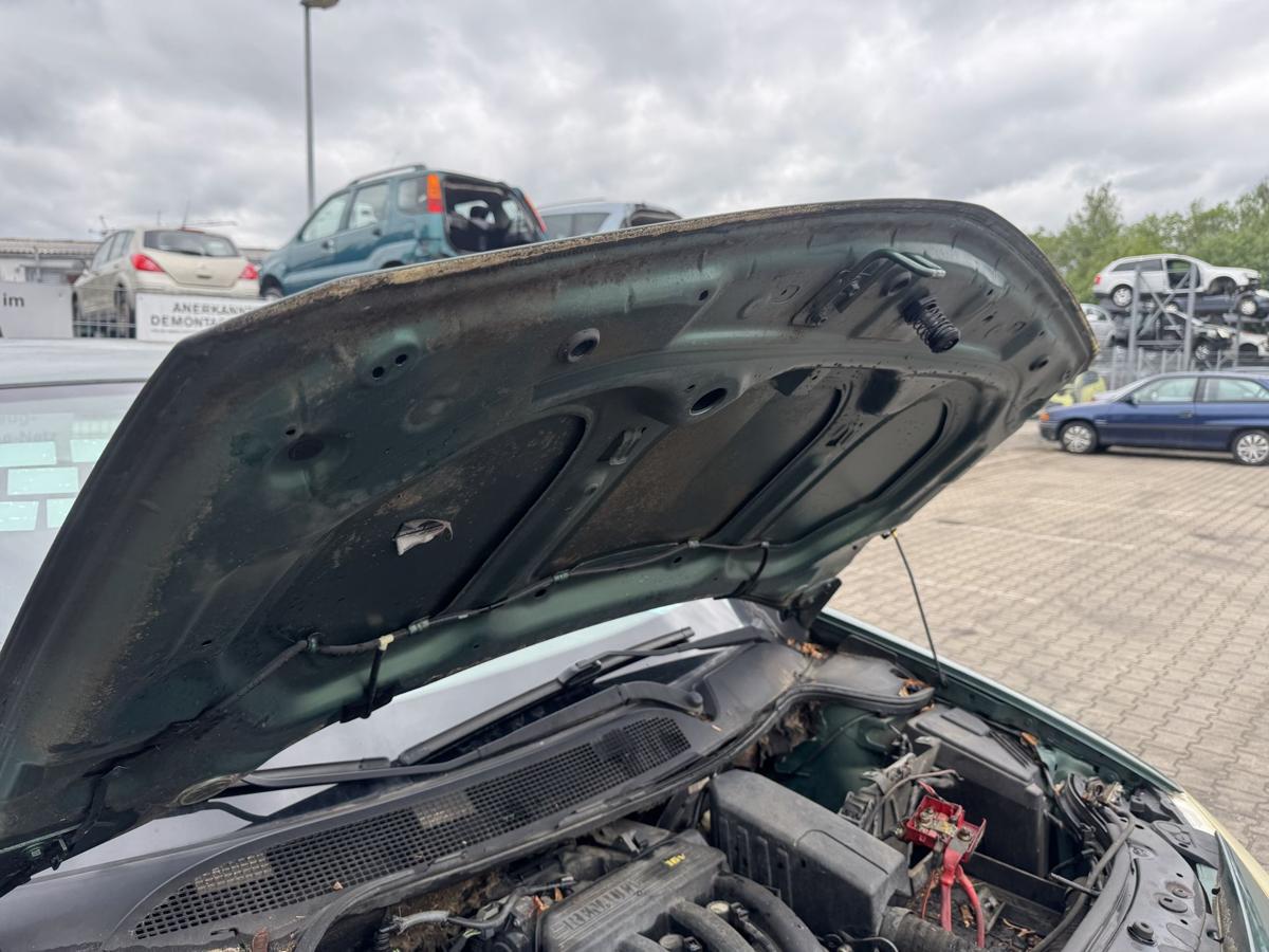 Renault Megane 2 original Motorhaube D96 Vert Giverny Metallic Bj.2004
