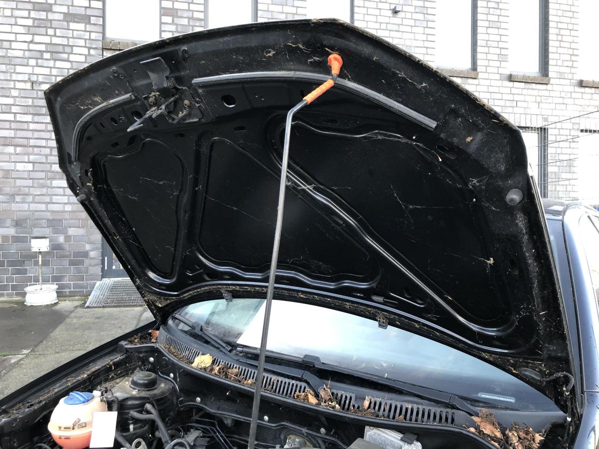 VW Polo 9N3 ab 05 Motorhaube Haube Bonnet Deckel vorne L041 Brillantschwarz