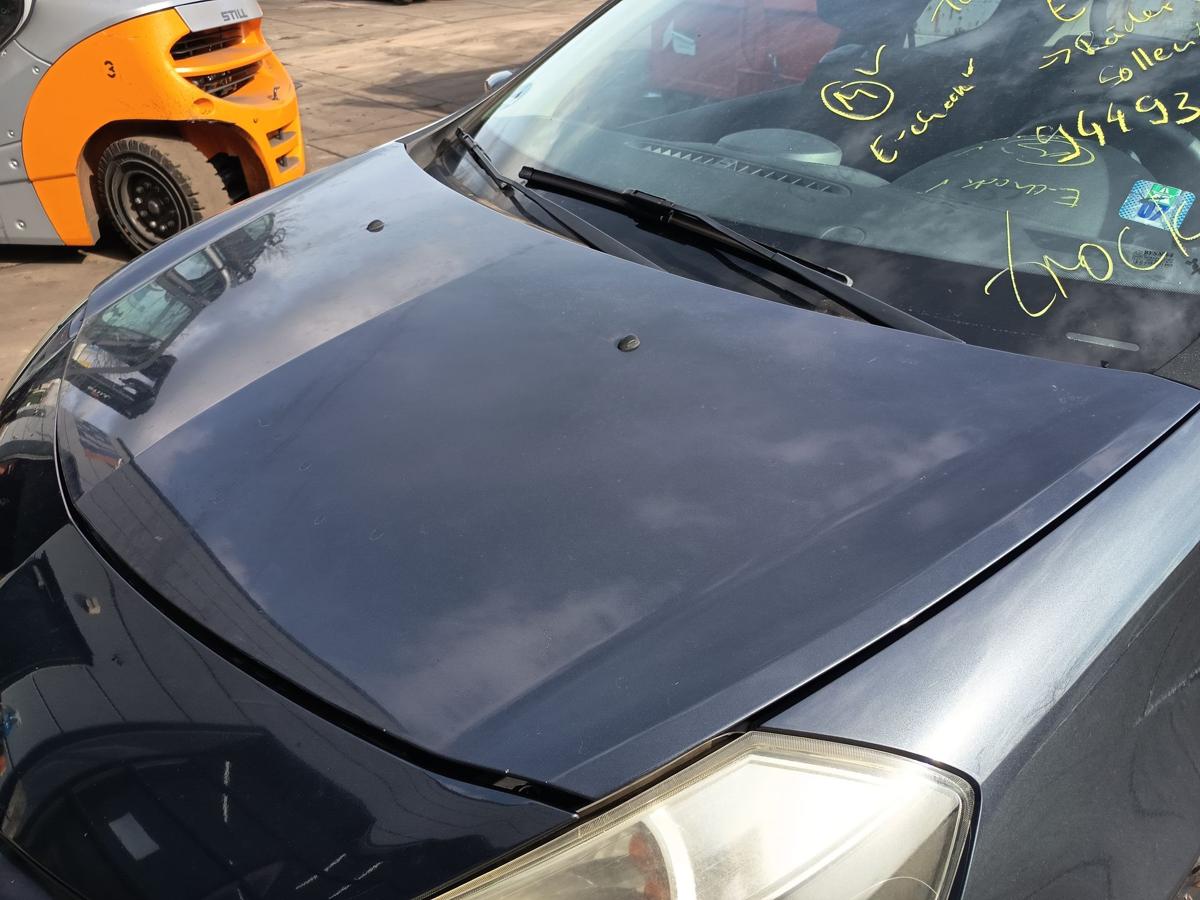 Renault Clio III original Motorhaube Klappe Deckel vorn Front B66 Graphit Bj2006