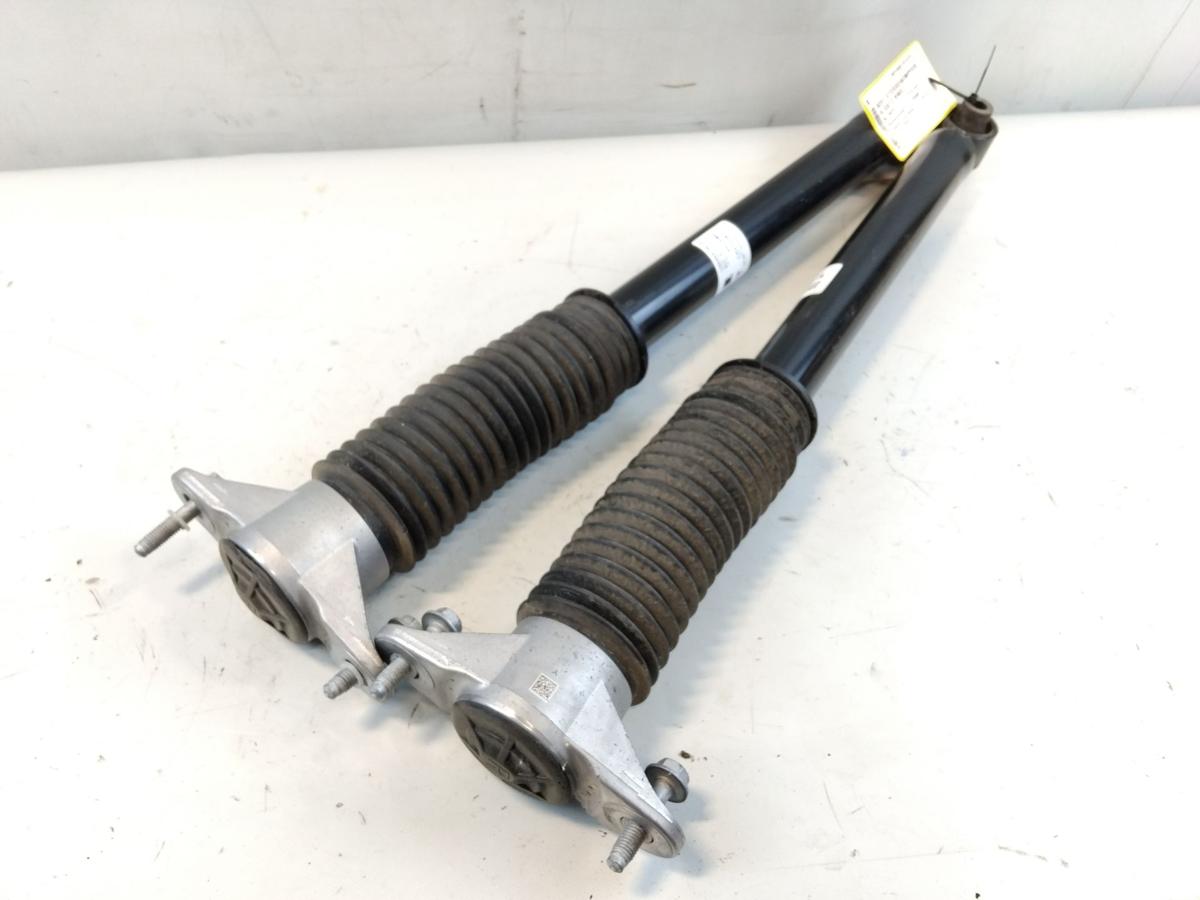 Tesla Model Y RWD original Satz Sto&szlig;d&auml;mpfer hinten Bj.2023