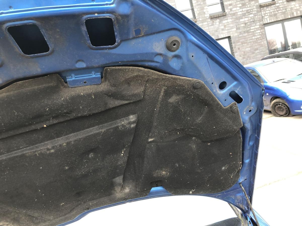 Peugeot 206CC Typ 2D Motorhaube Haube Klappe Deckel vorn KMF Poseidon Blau Met
