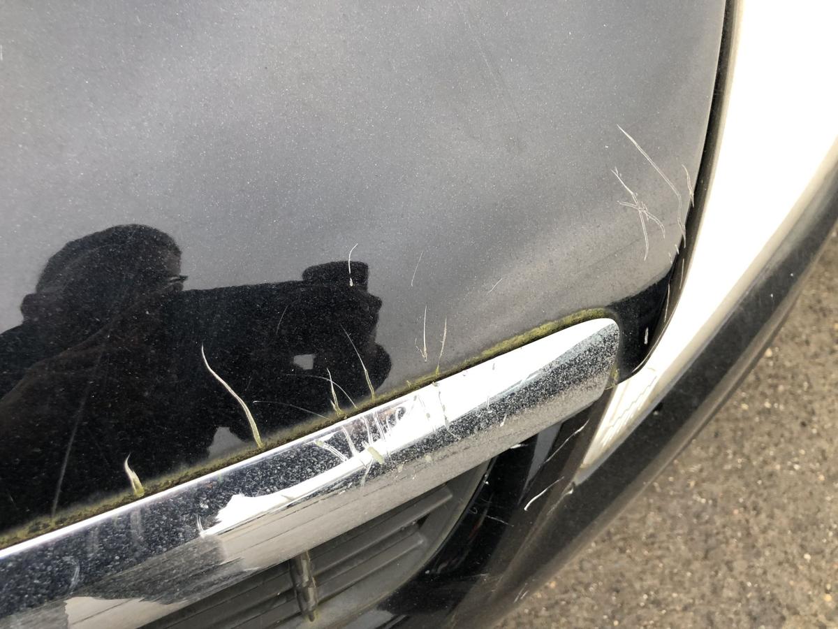 Ford Focus DA3 ab08 Motorhaube Bonnet Haube Deckel vorn schwarz Abdeckung Motor