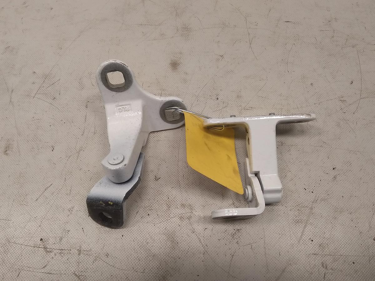 Tesla Model Y original Satz Türscharniere hinten links 1626077-00-B 1626078-00-B