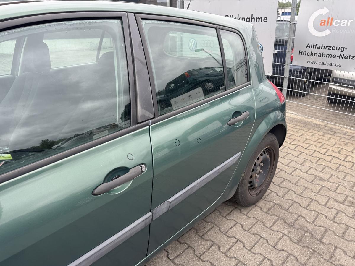 Renault Megane 2 original T&uuml;r hinten links D96 Vert Giverny Flie&szlig;heck Rohbau Bj.2004