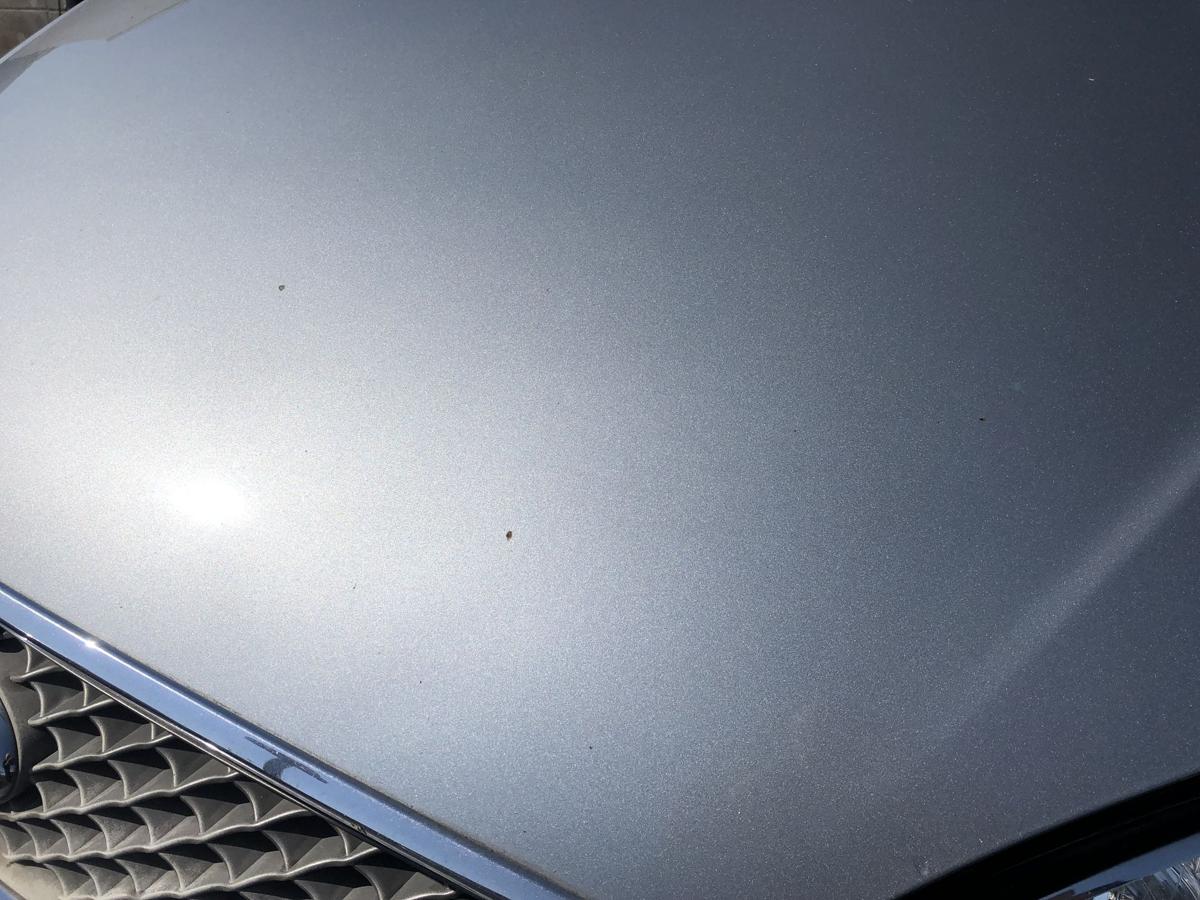 Ford Galaxy WGR original Motorhaube Klappe/Deckel vorn/Front Cosmicsilber Bj2006