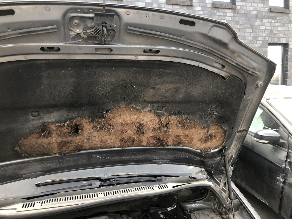 VW Touran 1T 1T1 Motorhaube Haube Klappe Deckel vorn LD7X Platingrau Metallic