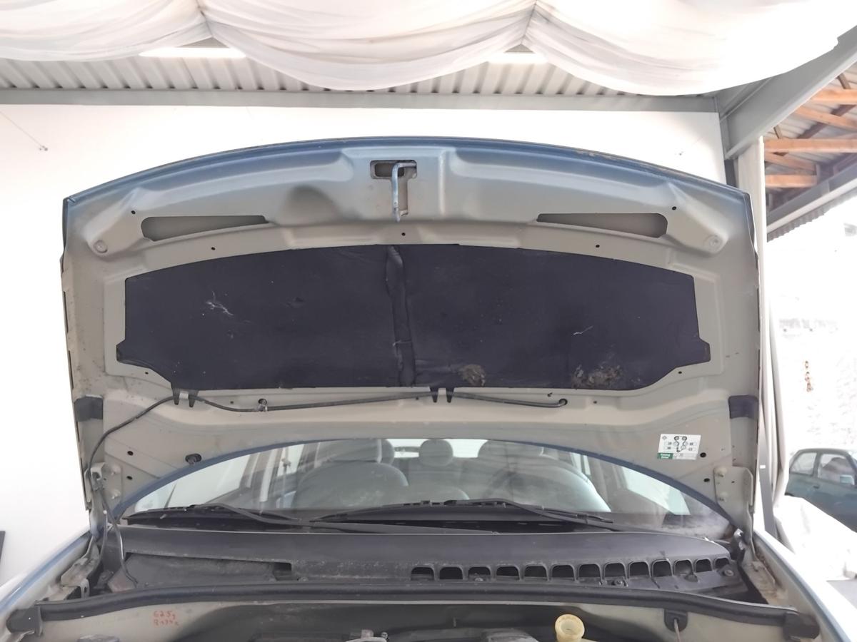 Citroen C3 Motorhaube Deckel vorn KMY Lucia Blau Metallic BJ2005