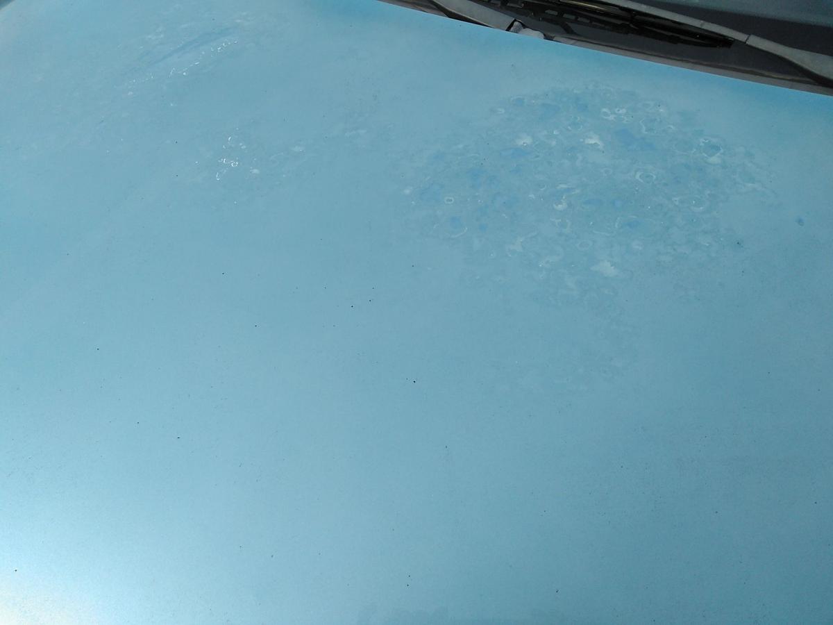 Opel Corsa C original Motorhaube breezeblaumetallic Z20N Bj.2000