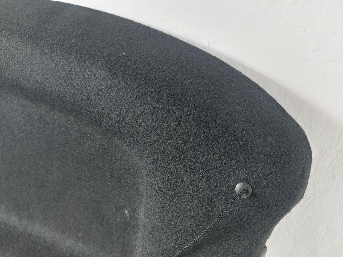 Citroen DS3 SportChic Hutablage Laderaumabdeckung Heckablage Kofferraumabdeckung