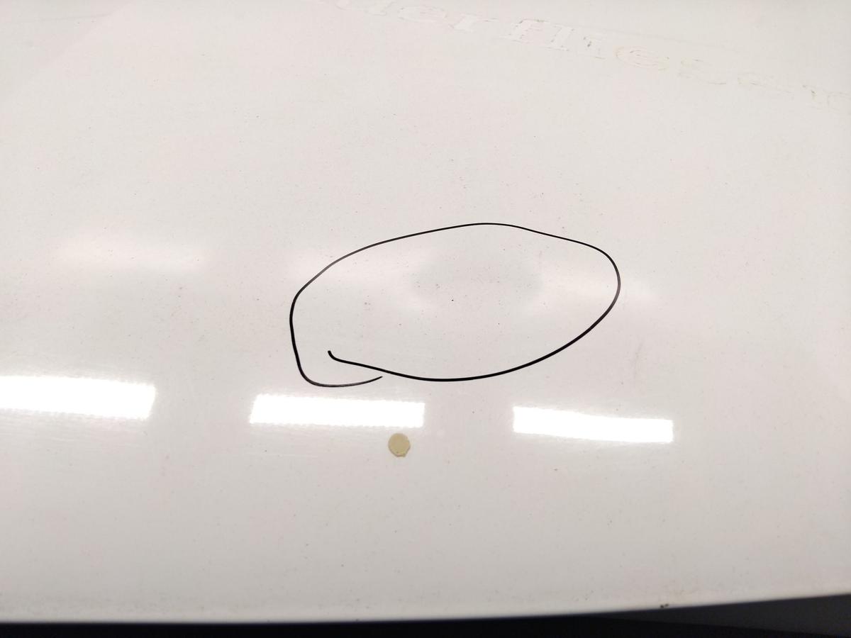 Dacia Logan Kombi original Motorhaube weiss OV369 Ice white bc BJ2008