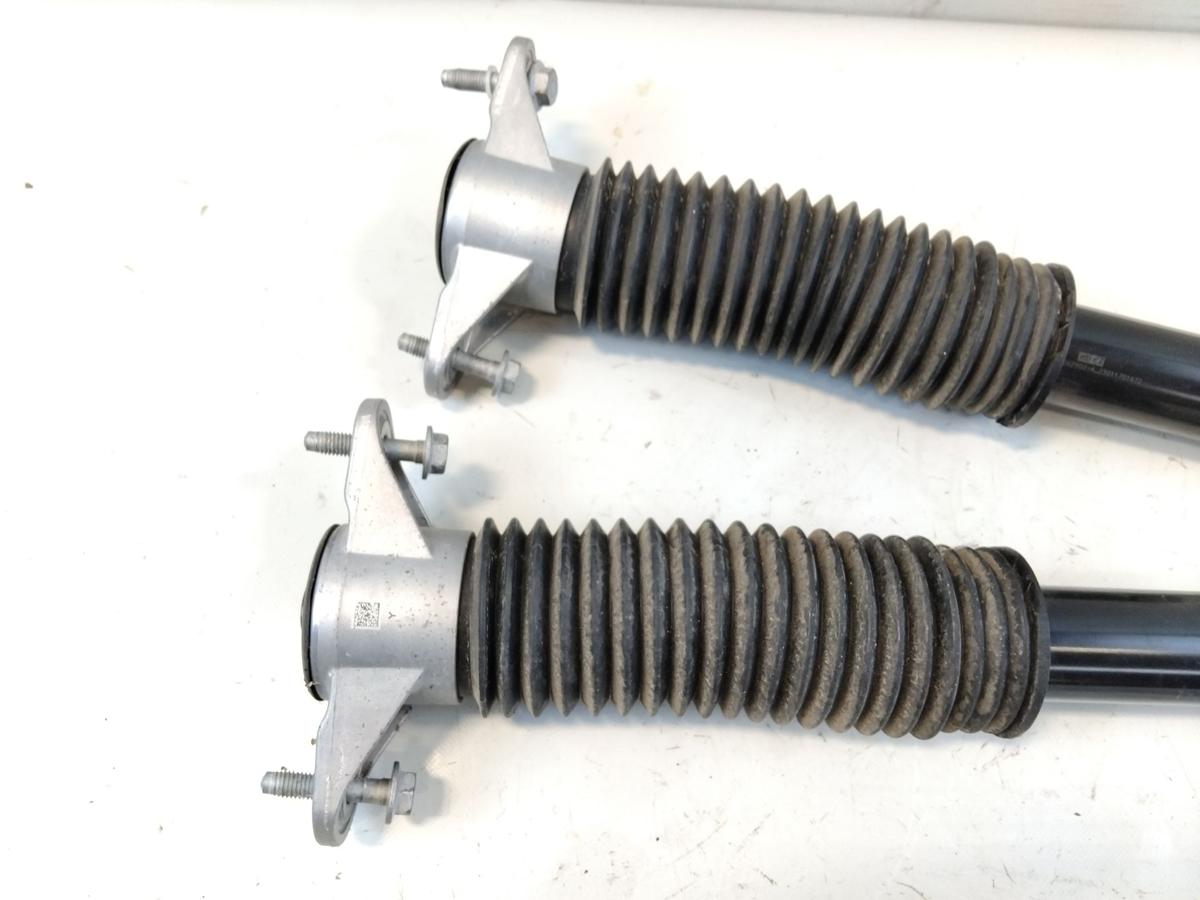 Tesla Model Y RWD original Satz Sto&szlig;d&auml;mpfer hinten Bj.2023