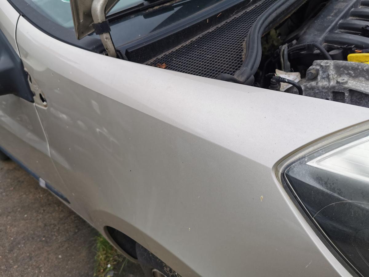 Renault Clio III BR Kotflügel Fender Seitenwand vorn rechts TED11BeigePepper 185