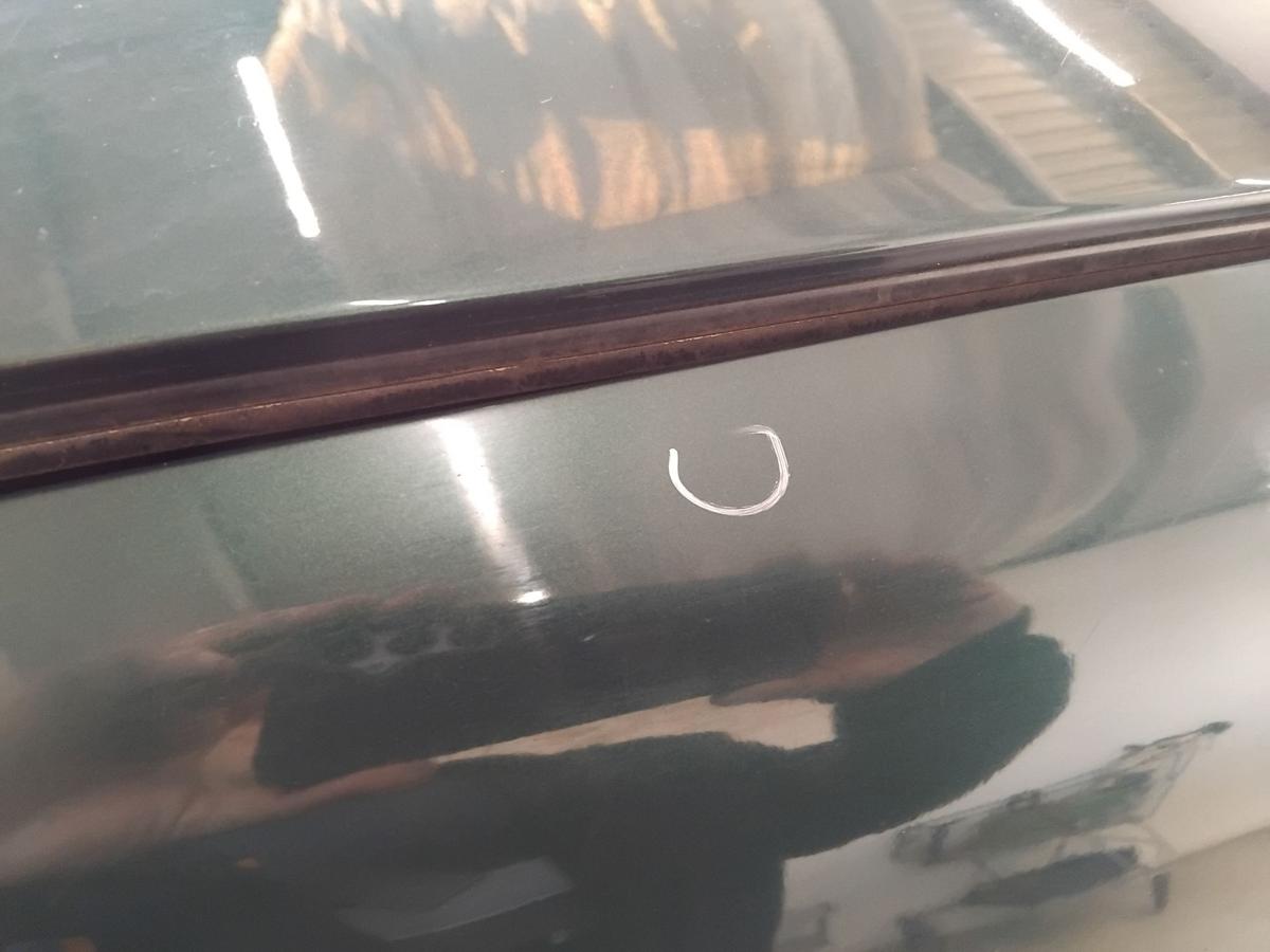 VW Golf 4 1J original Kotflügel vorn links LC6M Brightgreen BJ2003