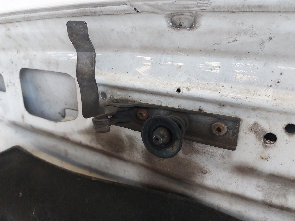 VW Crafter 35 2E Kasten Motorhaube Haube Klappe Deckel vorn LB9A Candyweiß