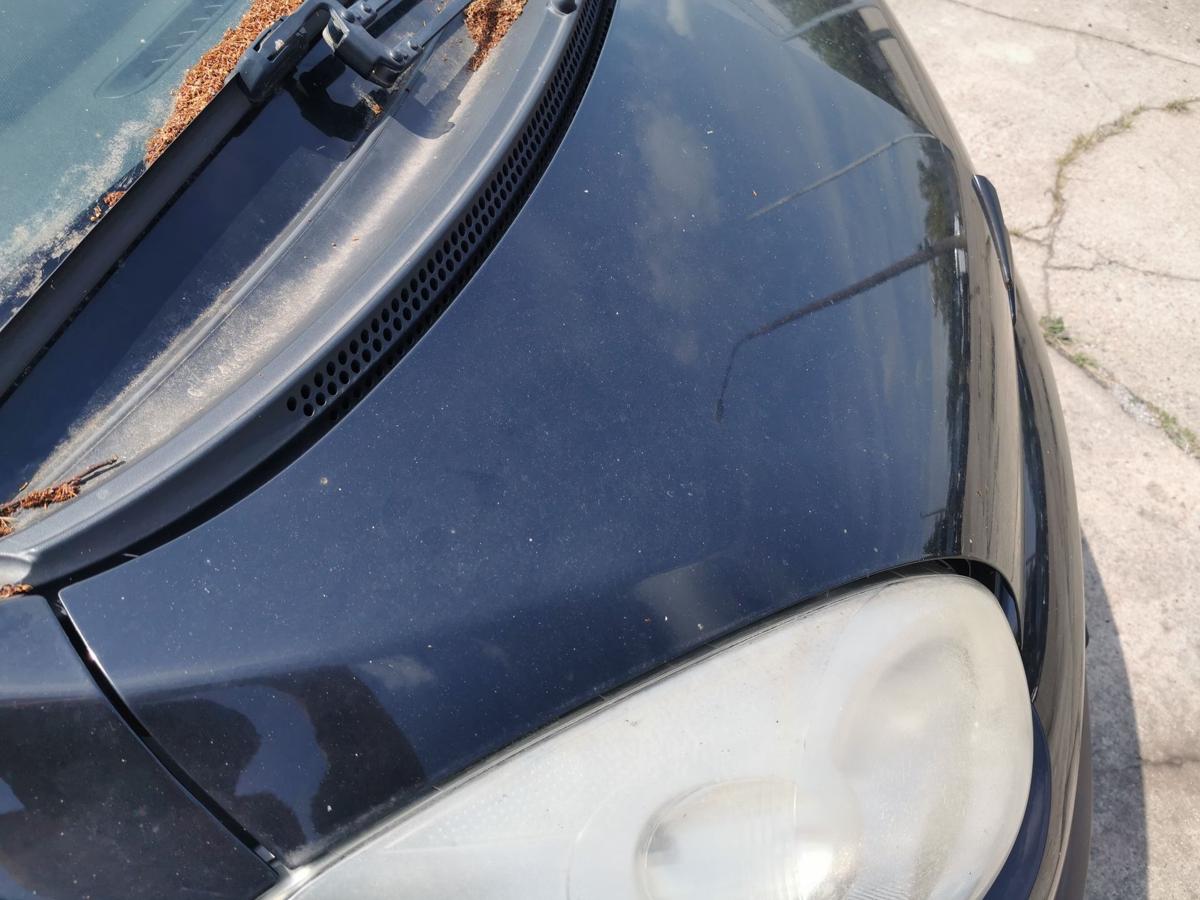 Citroen C1 P Motorhaube Haube Klappe Deckel Bonnet vorn EXZ Schwarz Metallic