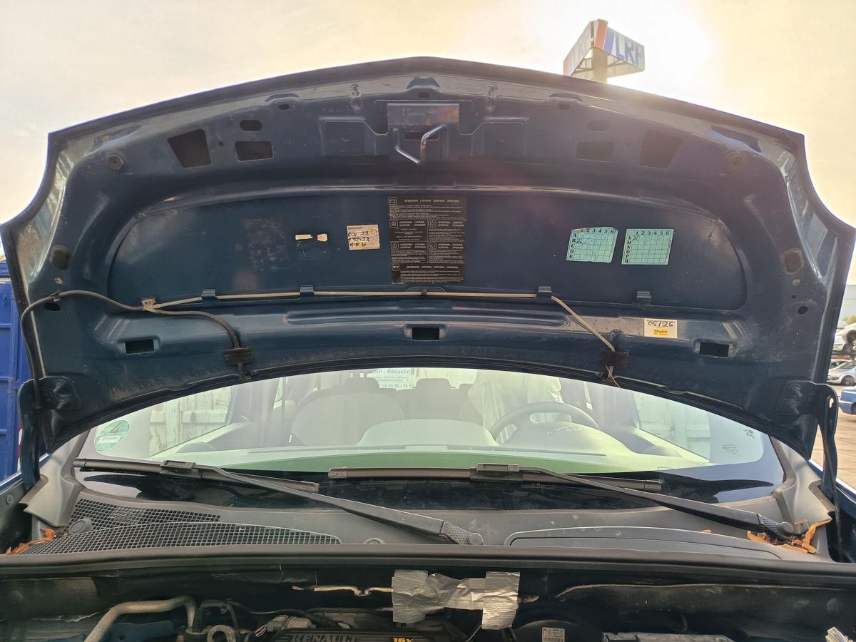 Renault Kangoo II original Motorhaube Klappe Deckel vorn Front KMOD Seladonblau