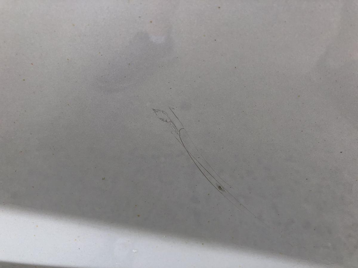 Seat Ibiza 6J 6P ST Kombi Tür vorn rechts Beifahrertür 5 türer LX7W Eissilber