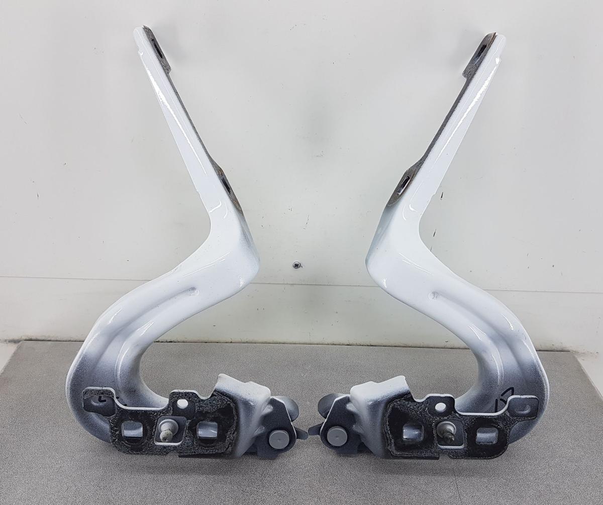 Tesla Model Y Satz Motorhaubenscharniere in PPSW White Water Pearl Bj2022