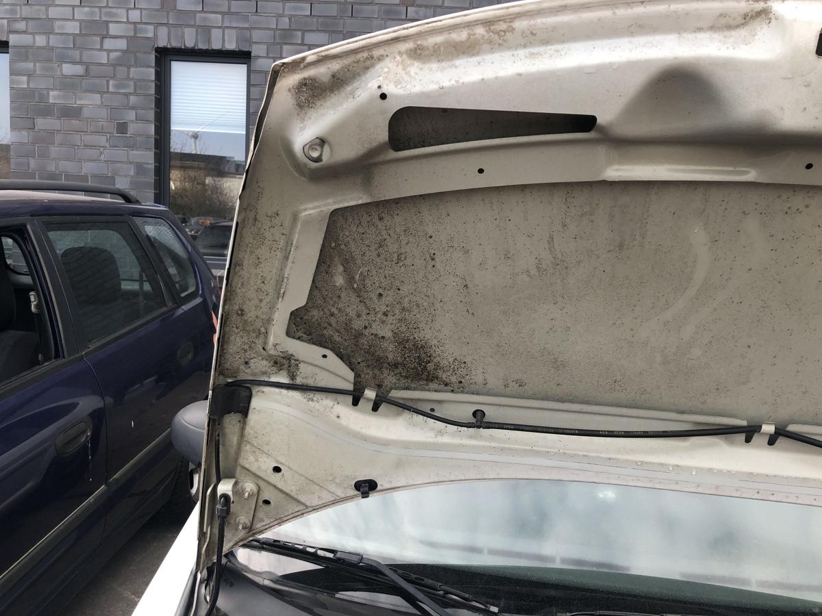 Citroen C3 Typ F Motorhaube Haube Klappe Deckel vor EWP Polar Wei&szlig;