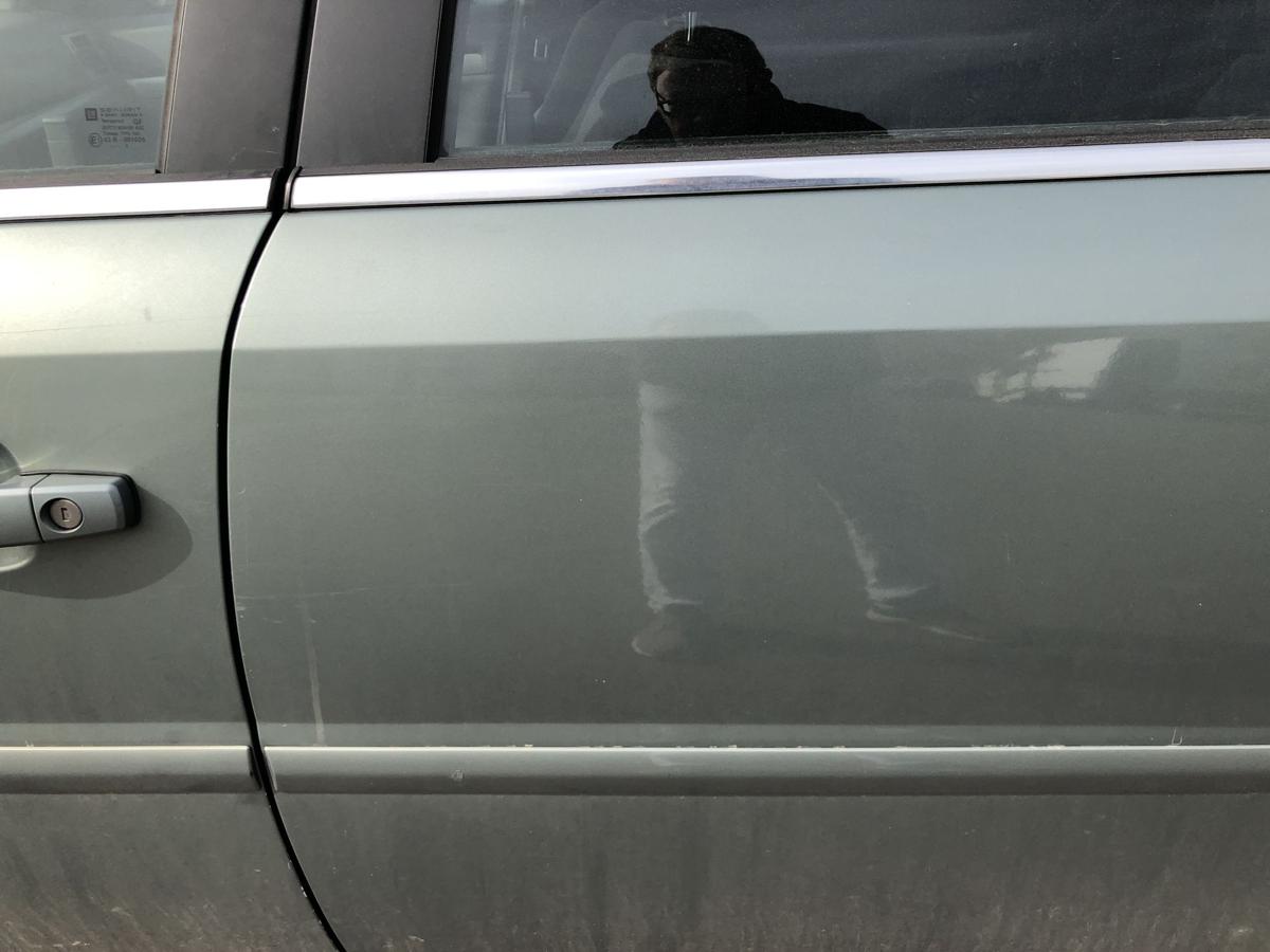 Opel Signum F48 T&uuml;r hinten links Fondt&uuml;r im Rohbau 3LU Bambusgr&uuml;n Met