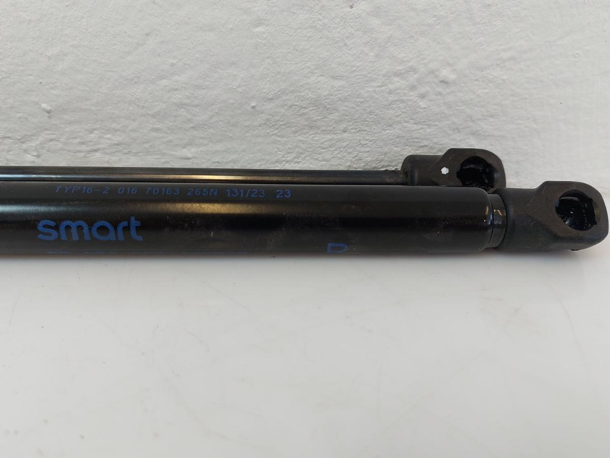 Smart #1 HX11 Pulse Satz Gasdruckdämpfer Motorhaube Dämpfer Haube OEM