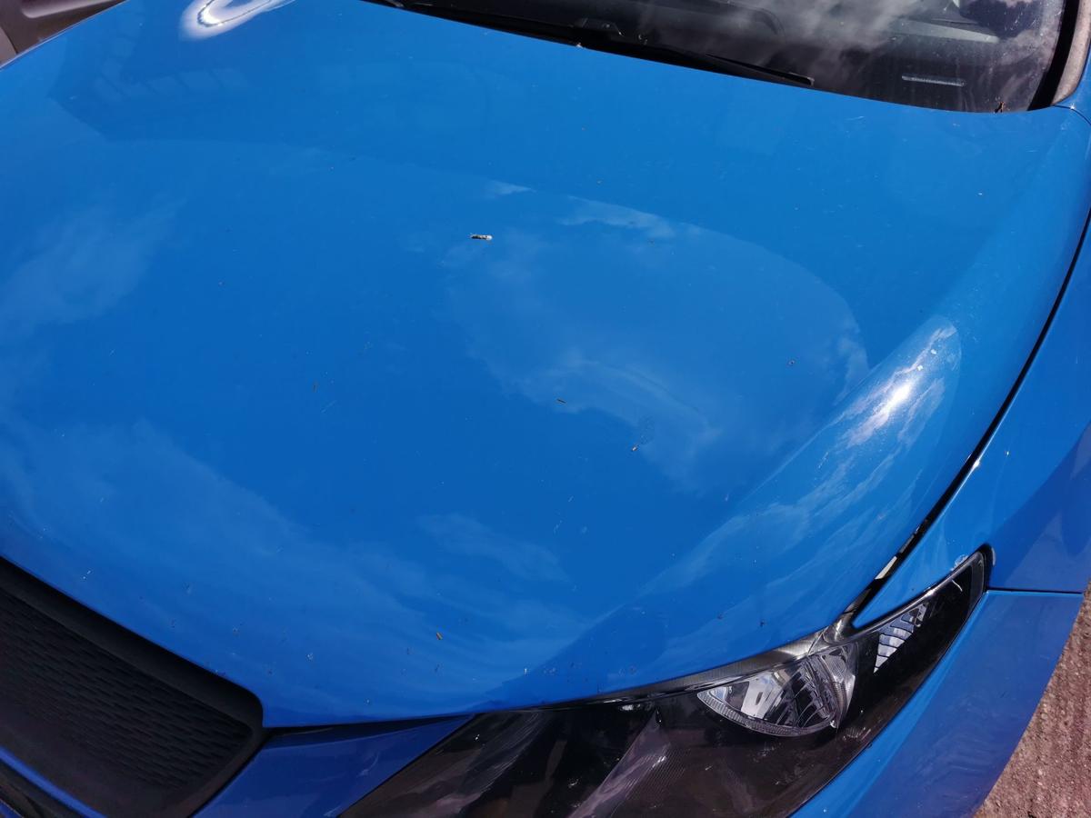 Seat Ibiza 6J Motorhaube Haube Klappe Deckel Bonnet vorn blau Hagelschaden
