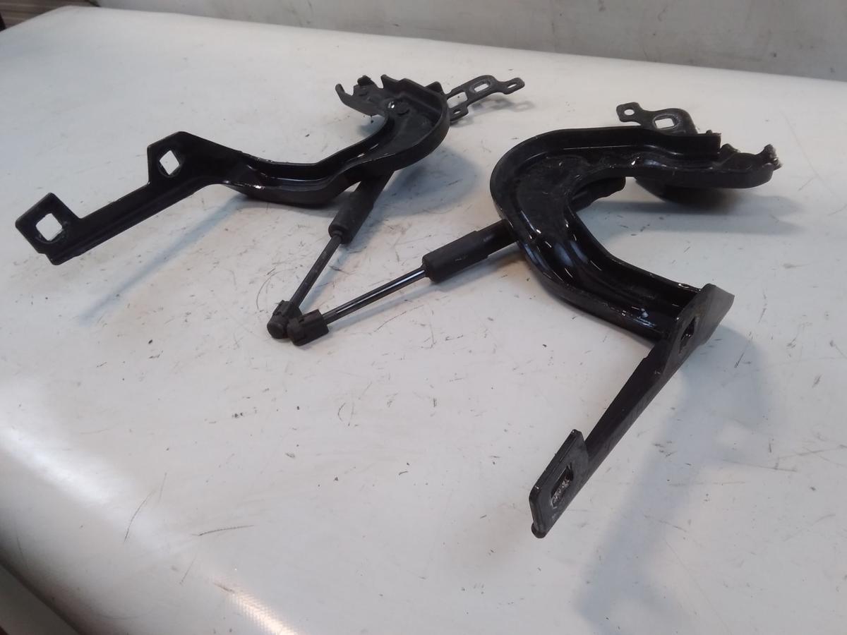 Tesla Model Y original Satz Motorhaubenscharniere unfallfrei BJ2023