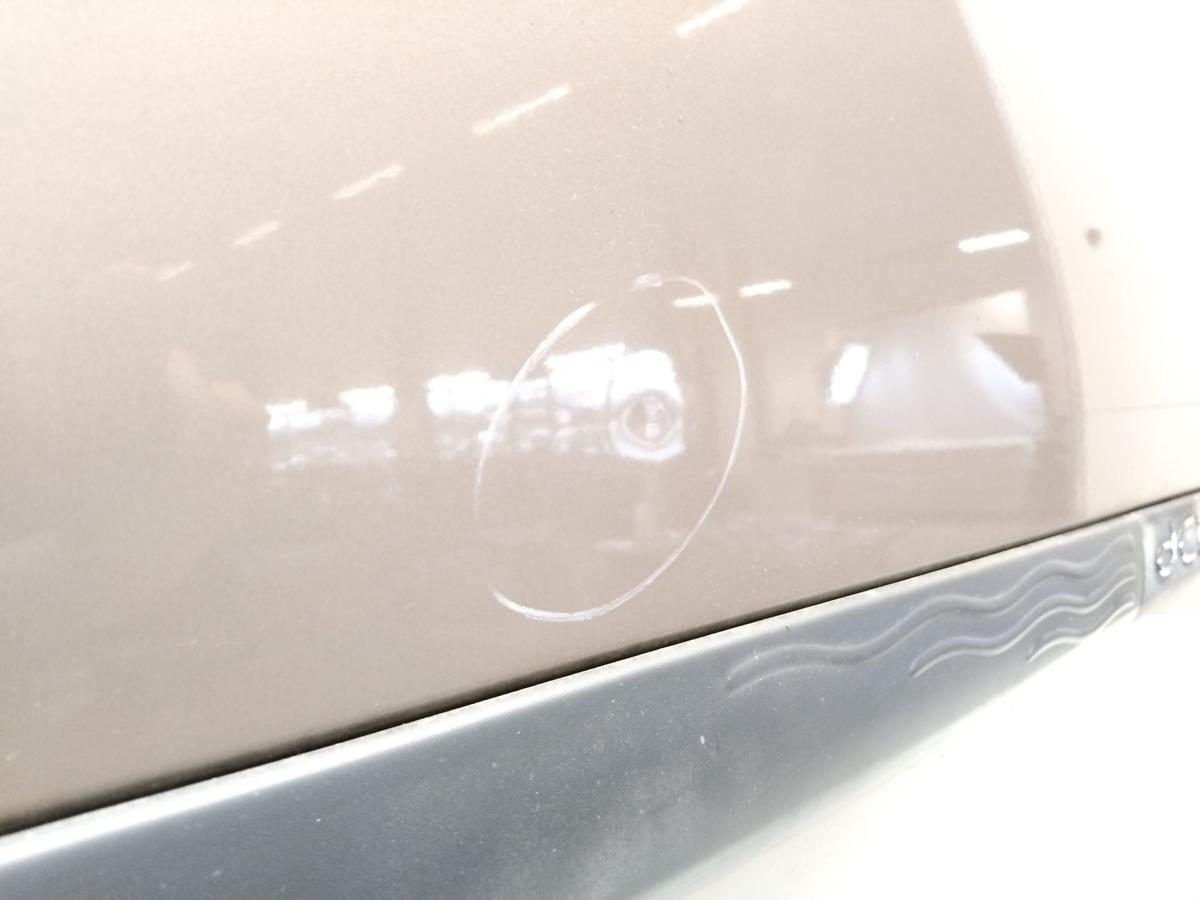 Renault Modus original T&uuml;r vorn rechts Beifahrert&uuml;r champagner TED12 BJ2005