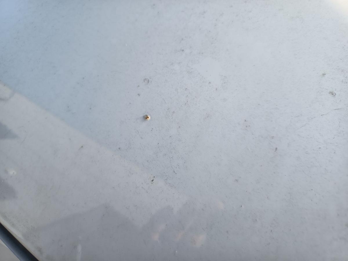 Peugeot 206+ original Motorhaube Klappe/Deckel vorn/Front EWP Polarwei&szlig; Bj 2012