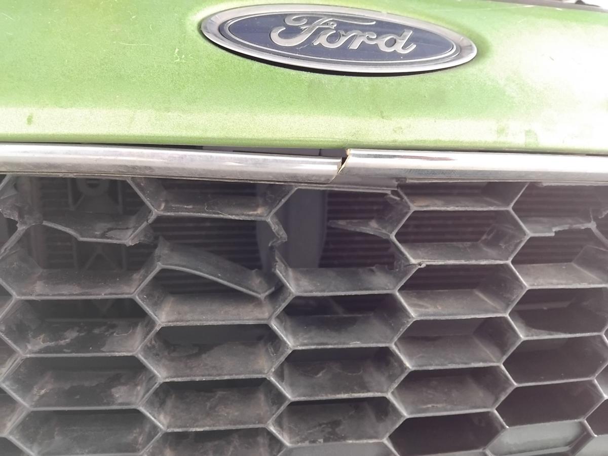 Ford Fiesta JA8 Facelift orig Sto&szlig;stange Sto&szlig;f&auml;nger vorn BJ2016 gr&uuml;n foliert
