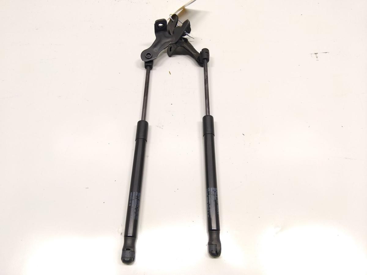 Tesla Model 3 original Satz Gasdruckzylinder Motorhaube 1091472-00-B Bj.2021