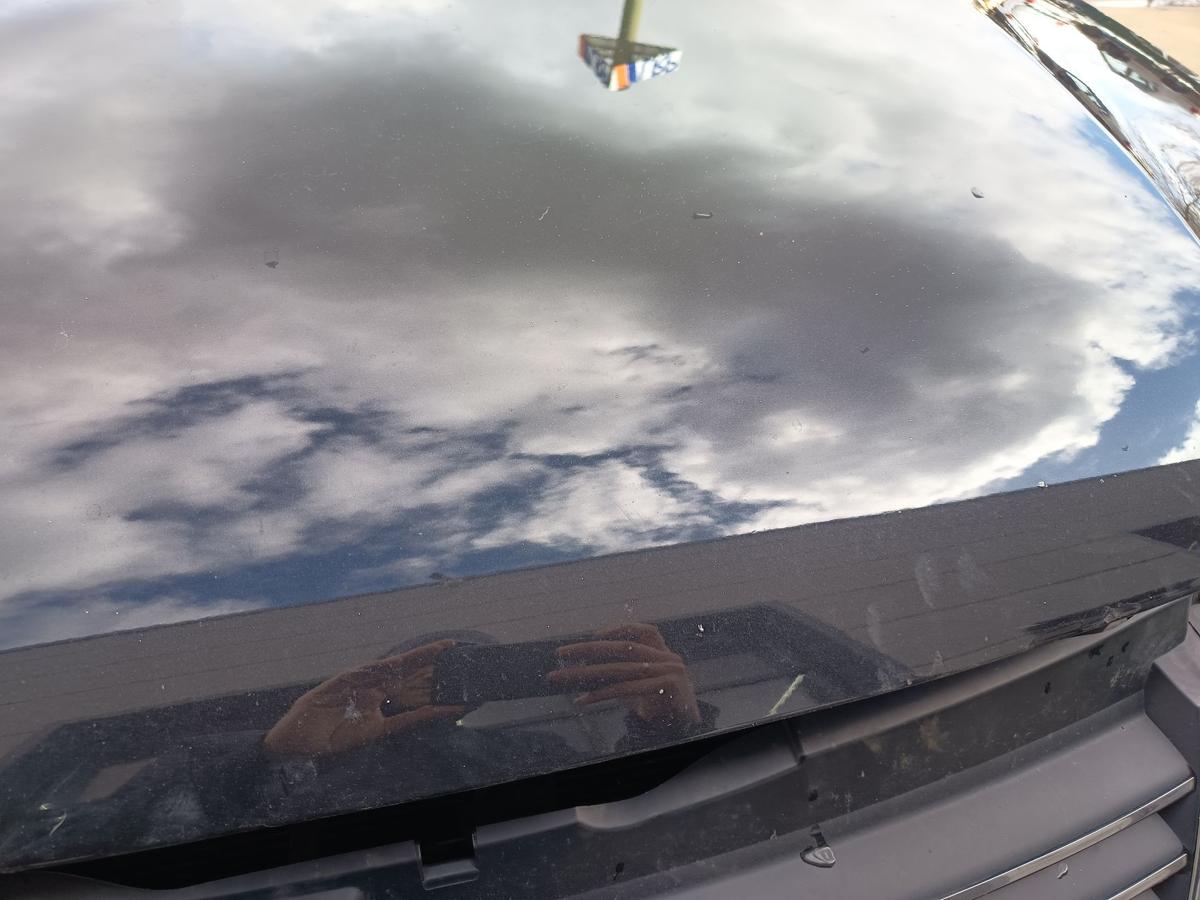 VW Passat 3BG original Motorhaube Klappe Deckel vorn Front C9Z Black magic Bj 02