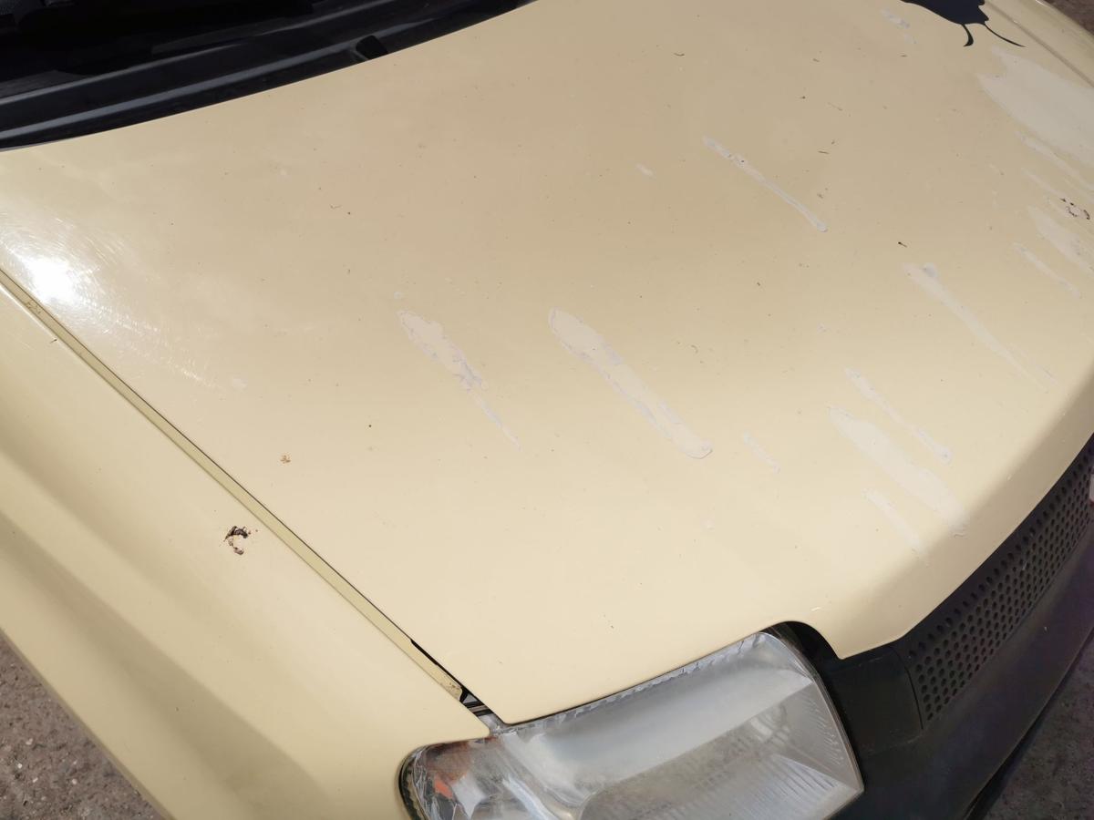 Fiat Panda 169 Motorhaube Haube Klappe Bonnet vorn Lackierung erforderlich
