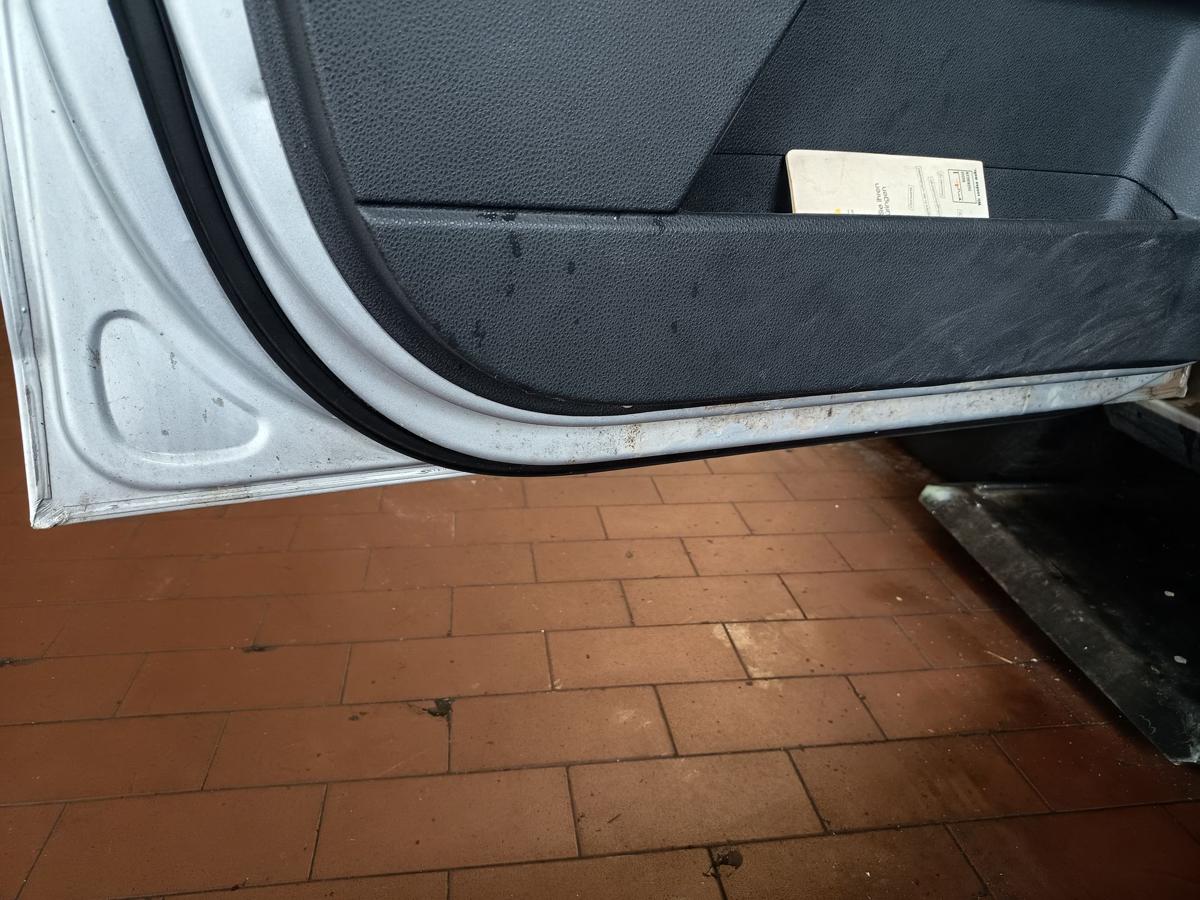 VW Polo 9N3 original T&uuml;r vorne links LA7W Reflexsilber Baujahr 2009