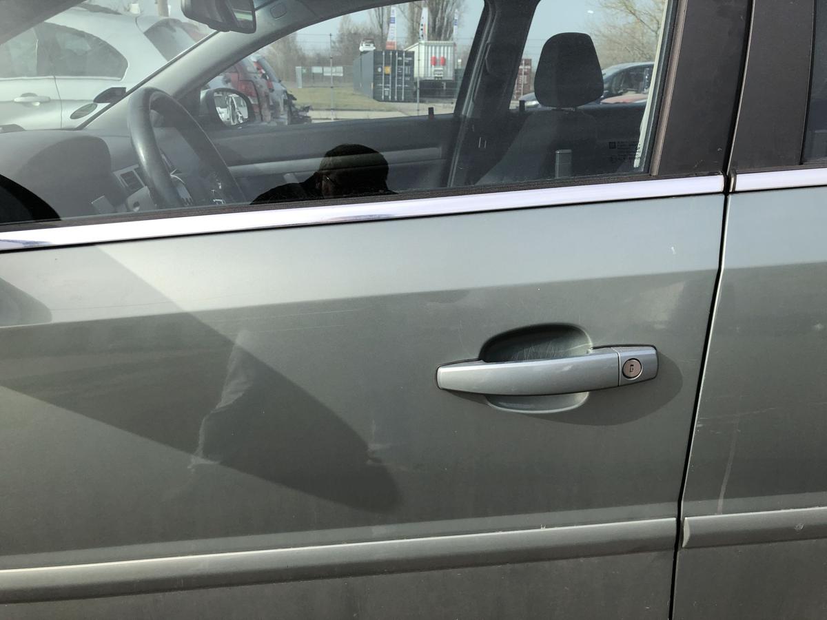 Opel Signum F48 T&uuml;r vorn links Fahrert&uuml;r Rohbau 3LU Bambusgr&uuml;n Met