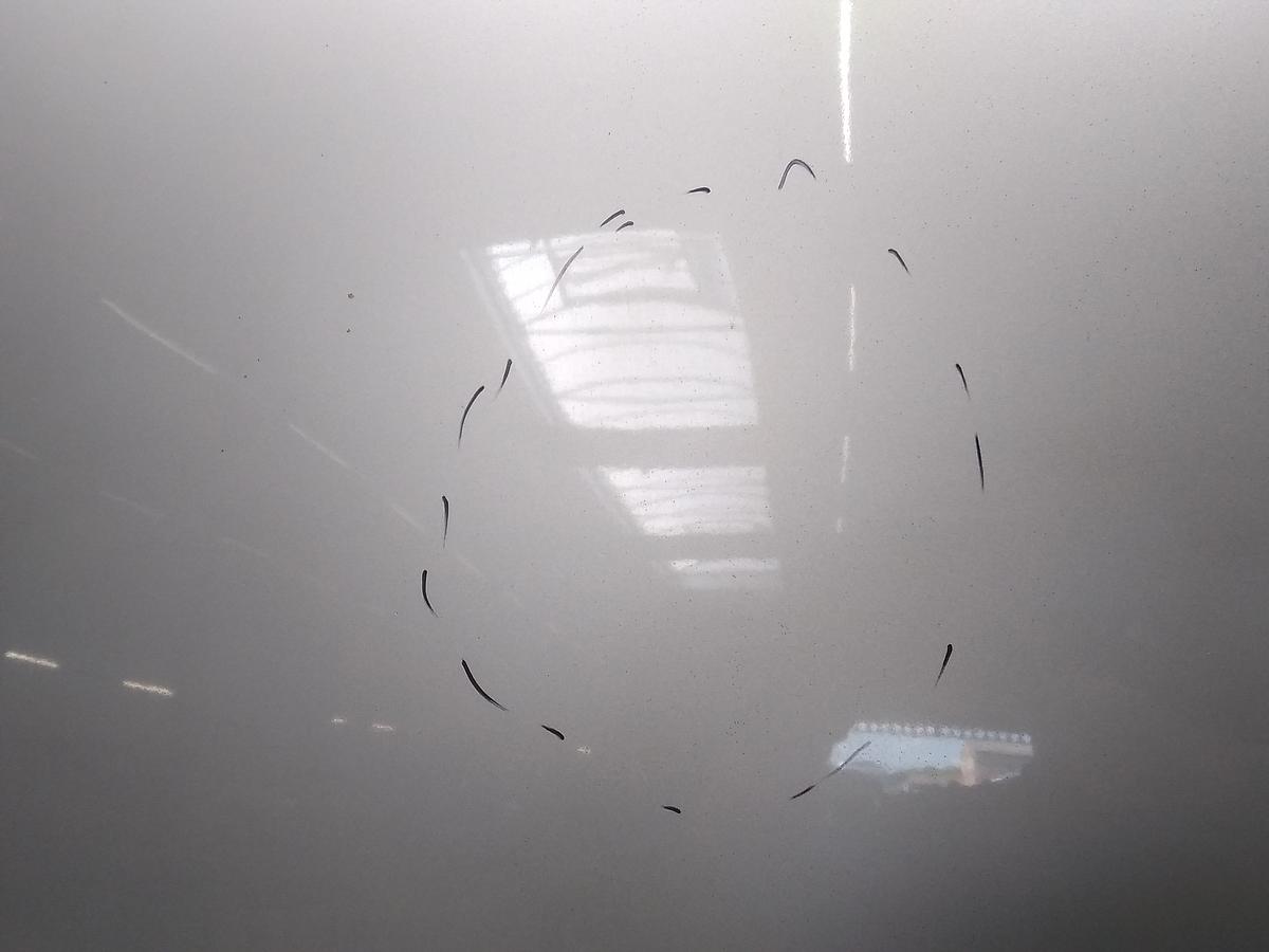 Opel Vectra C Bj.2005 original Motorhaube Alu starsilber Z157 inkl. Grill