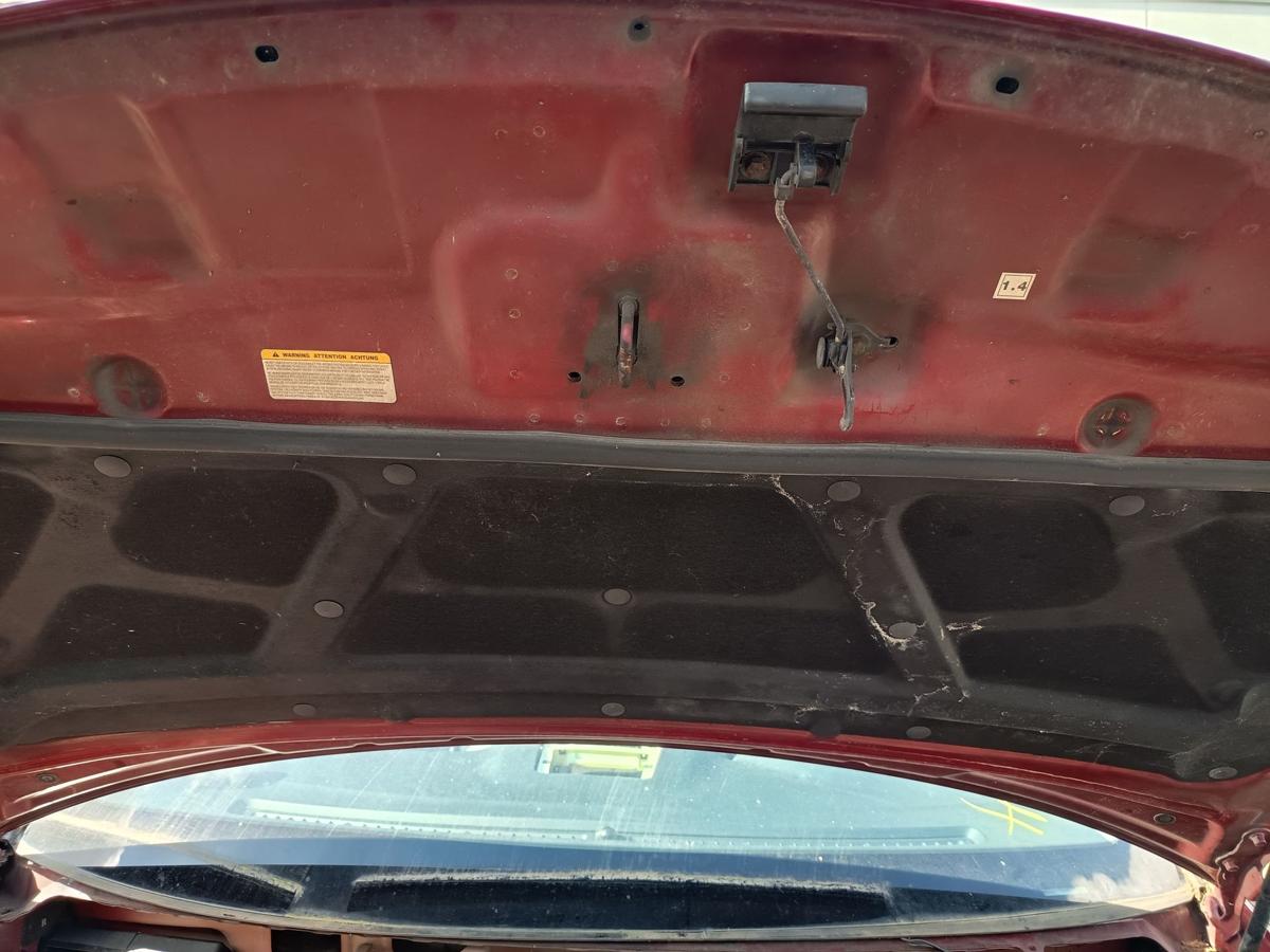 Kia Carnival III original Motorhaube R9 Rubinrot vor Facelift Baujahr 2006