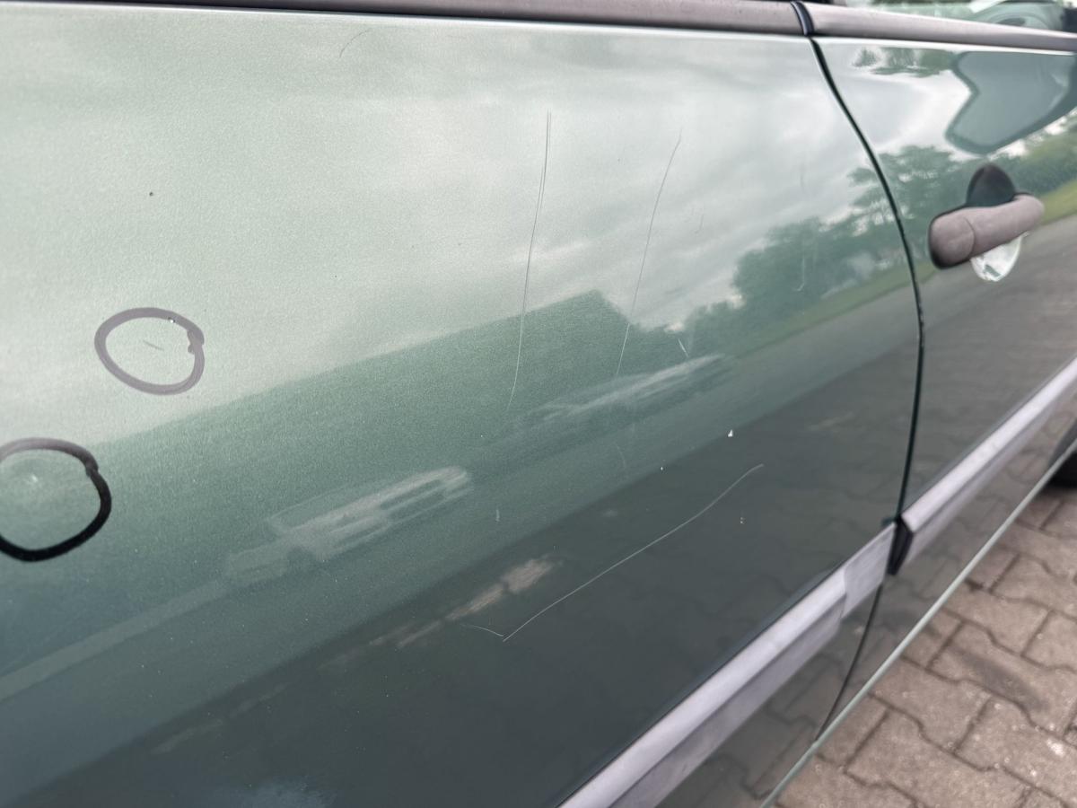 Renault Megane 2 original T&uuml;r hinten rechts D96 Vert Giverny Flie&szlig;heck Rohbau Bj.2004