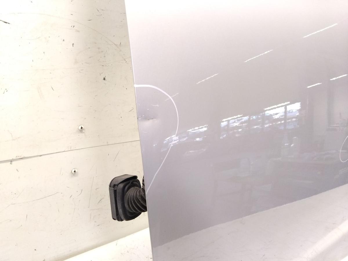 Renault Zoe T&uuml;r vorn links Fahrert&uuml;r silbergraumetallic mit M&auml;ngeln Bj.2015