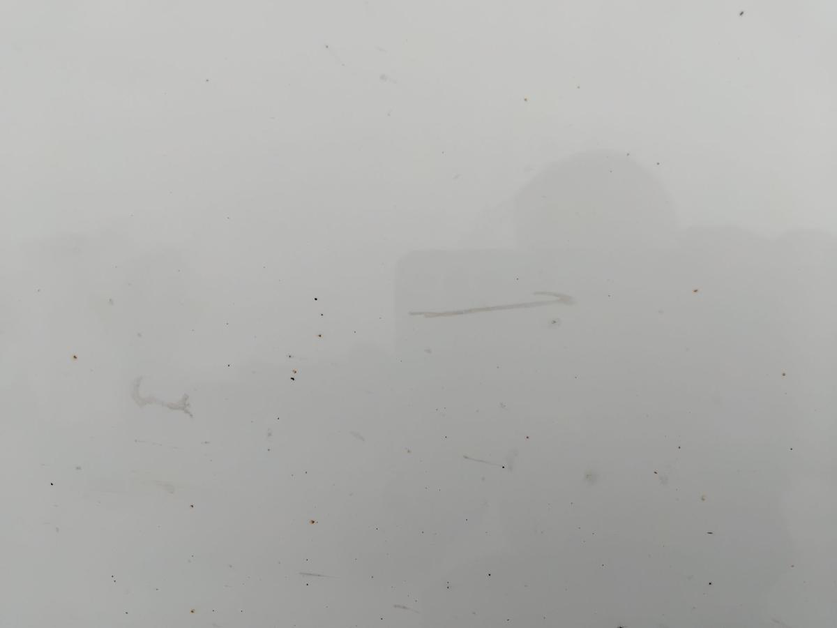 Renault Zoe T&uuml;r vorn rechts Beifahrert&uuml;r weiss DV369 Blanc Glacier BJ2016