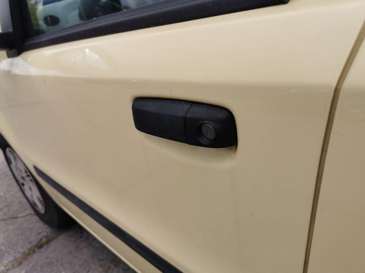 Fiat Panda 169 Fahrertür Tür Autotür Rohbau vorn links 541 Giallo Ottimista Gelb