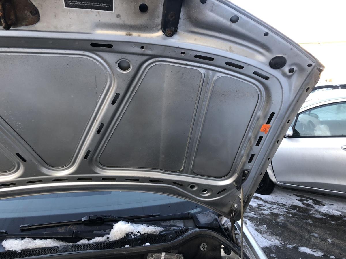 Skoda Fabia 6Y Combi Motorhaube mit Grill Bonnet Haube LF7T