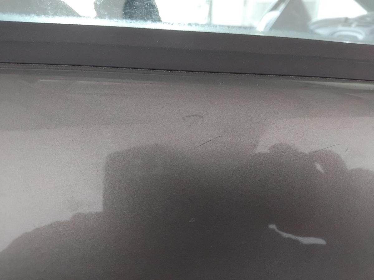 Citroen Xsara Picasso T&uuml;r vorn rechts Beifahrert&uuml;r KEB Nocciolametallic BJ2009